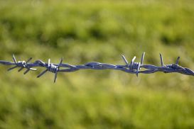 1024px-Ex-Iron_Curtain_barbed_wire