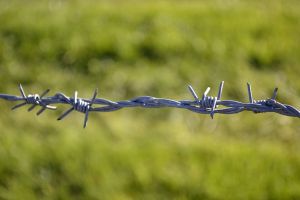 1024px-Ex-Iron_Curtain_barbed_wire