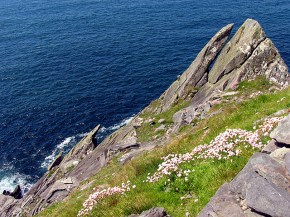 -Shard-_Cliff_Face_-_geograph.org.uk_-_16692